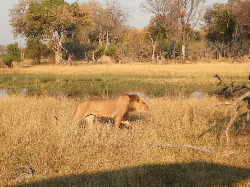 Botswana 4