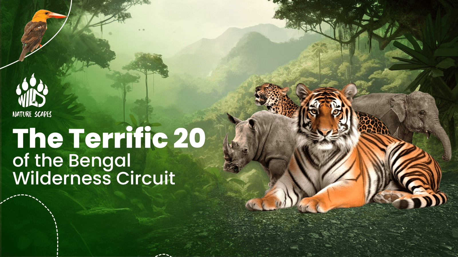 The Terrific 20 of the Bengal Wilderness Circuit 2